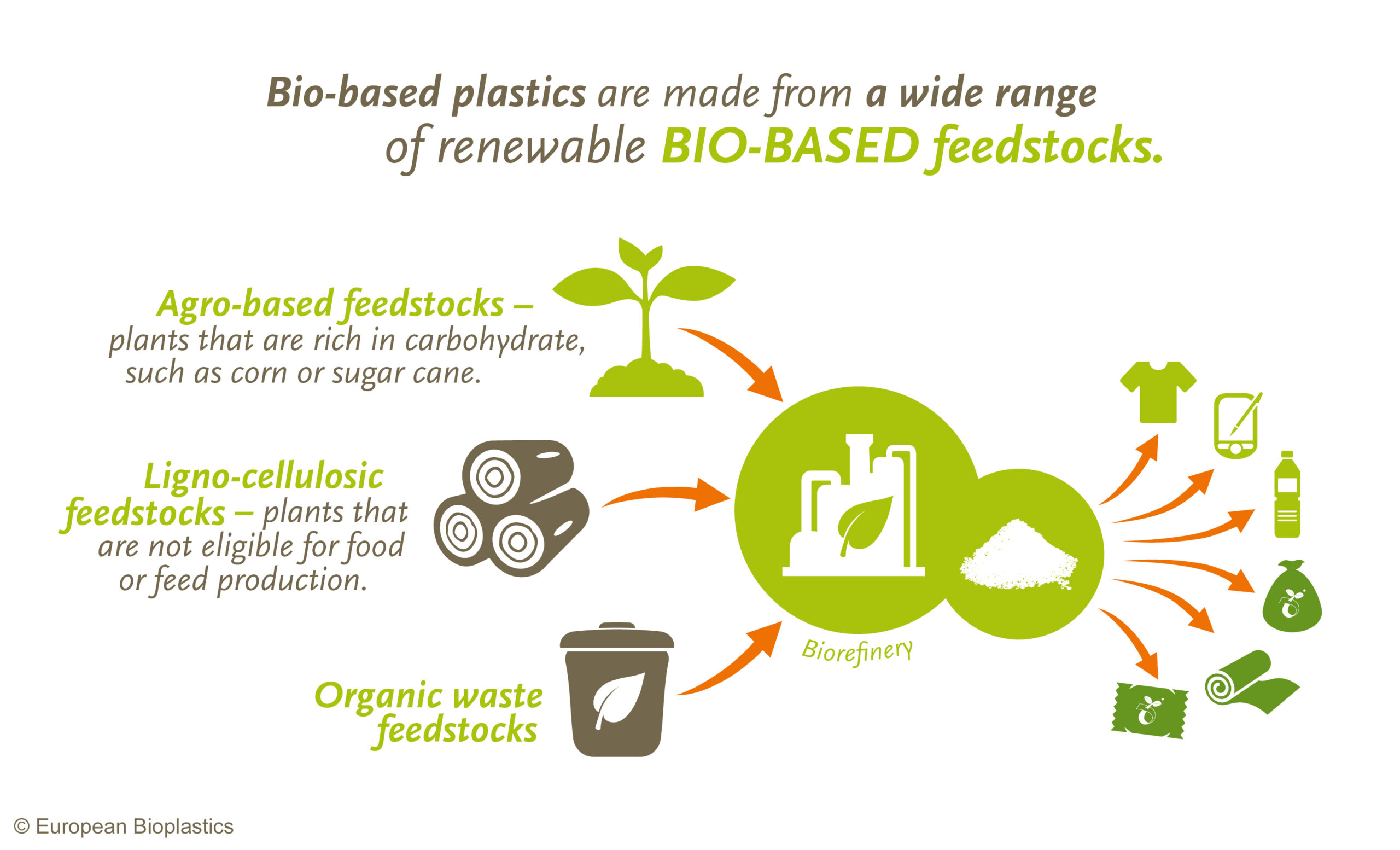 Bioplastik_baza wiedzy